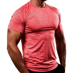 Men O Neck Quick Dry Moisture Wicking Active Athletic Performance T Shirt